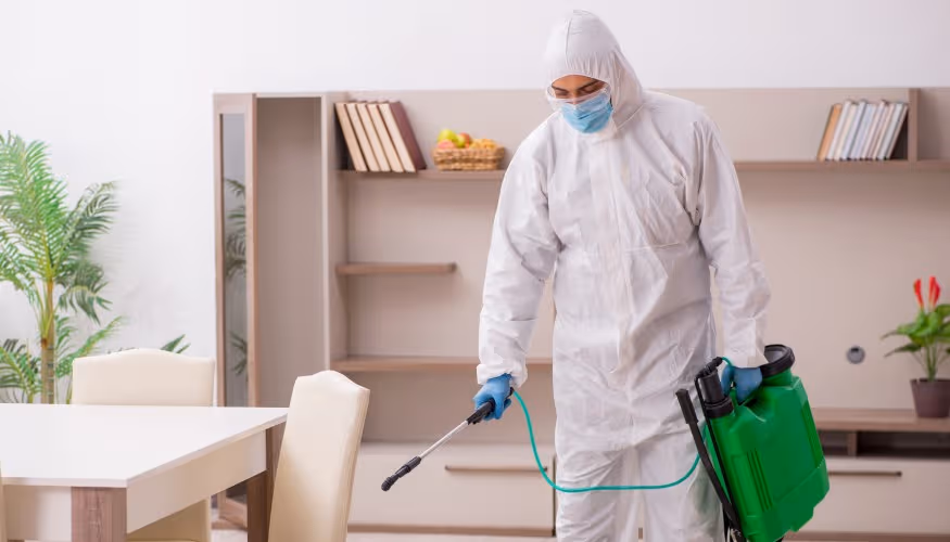 Adana Sinek İlaçlama
